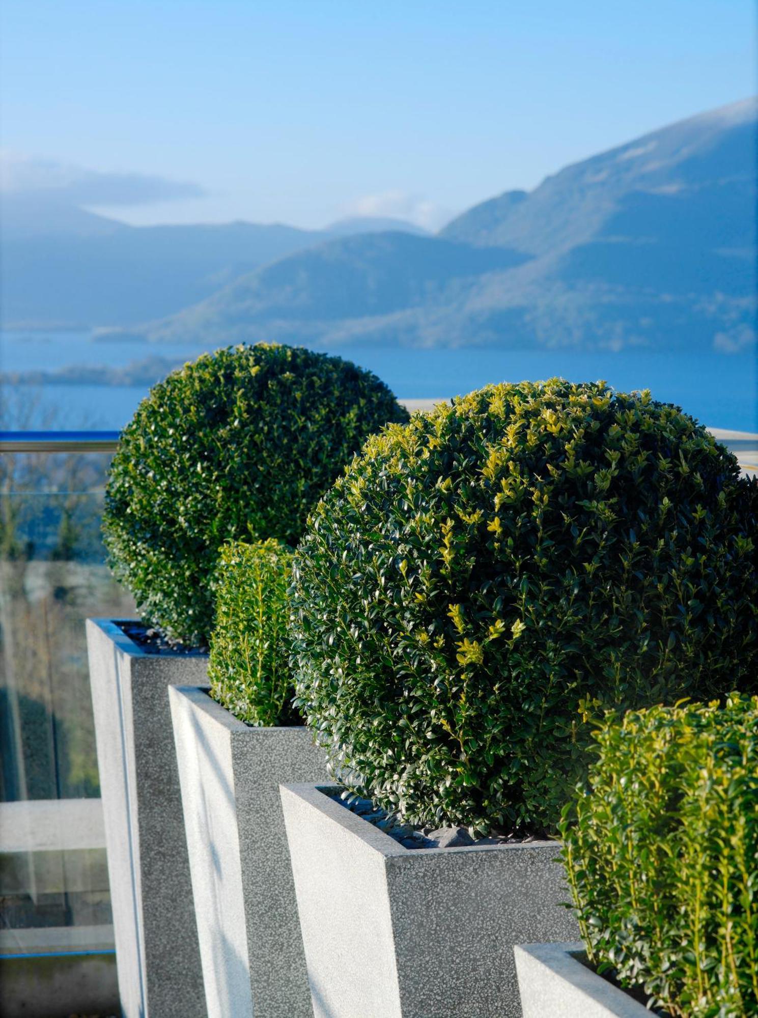 Aghadoe Heights Hotel & Spa 킬라니 외부 사진 Boxwood